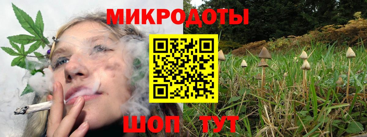 Гурьевск  Псилоцибиновые грибы мицелий  Вход с VPN 